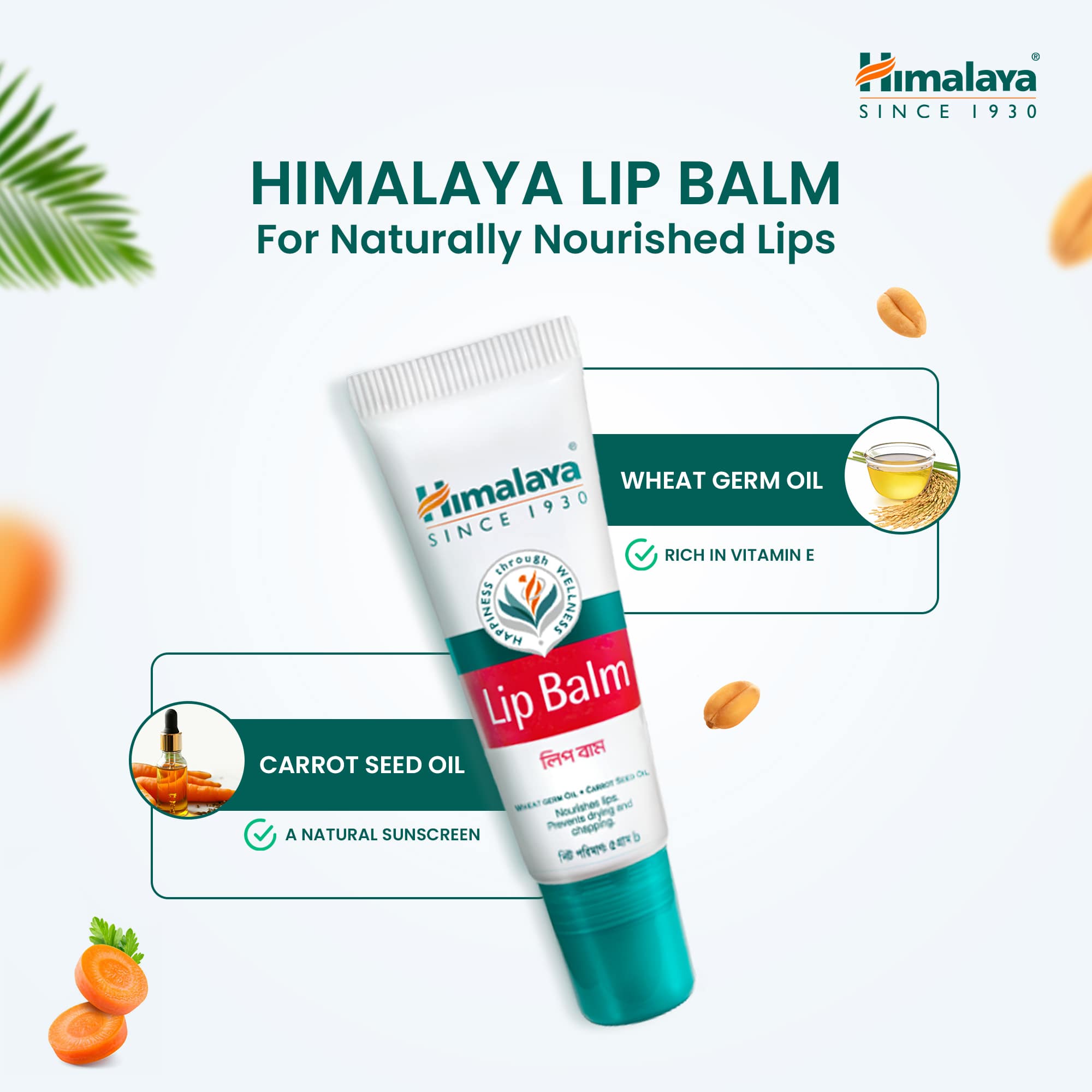 Himalaya Lip Balm-5g thumbnail 3