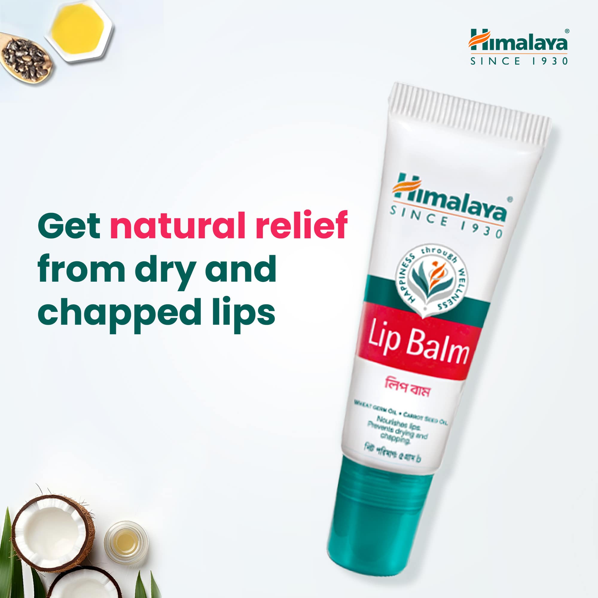 Himalaya Lip Balm-5g thumbnail 4