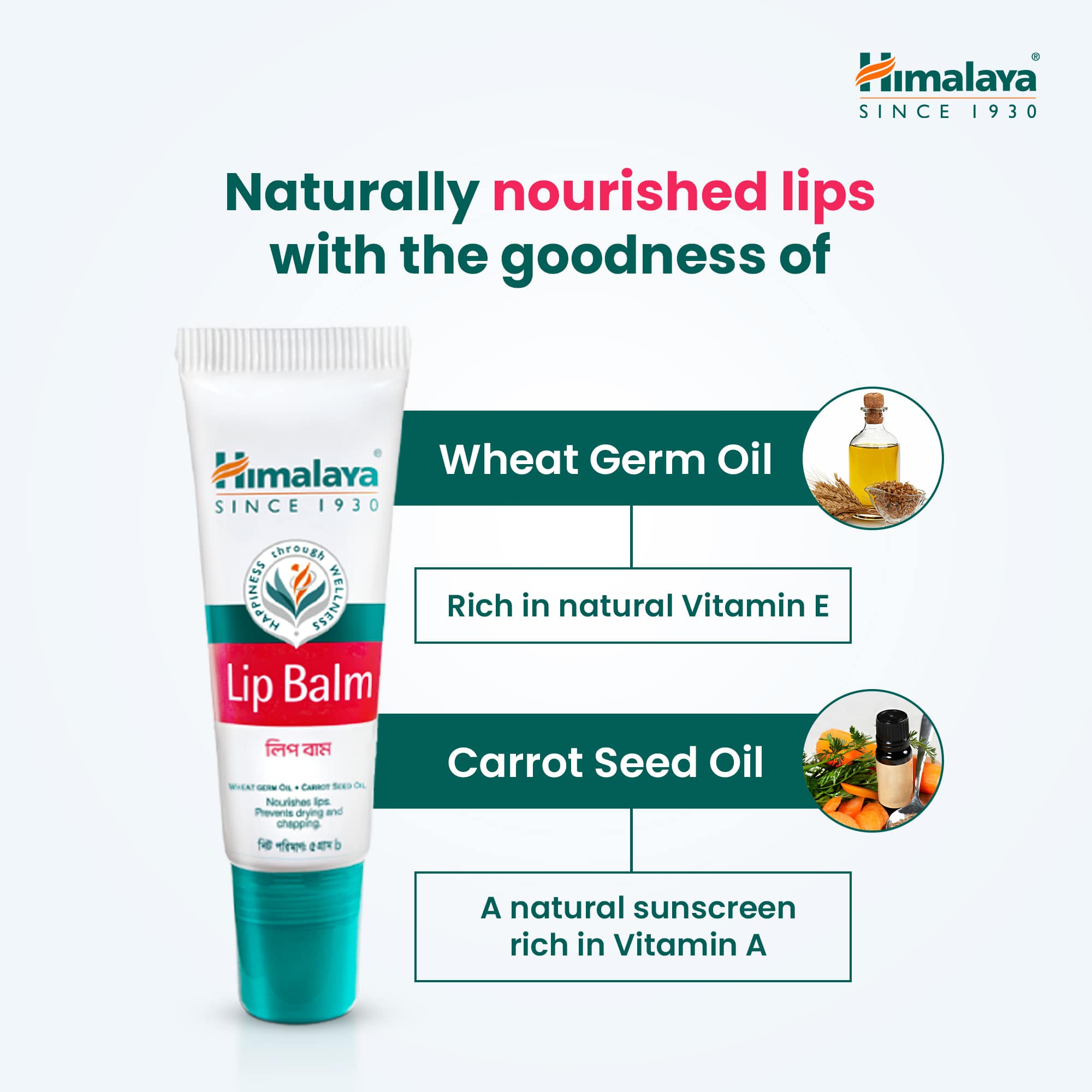 Himalaya Lip Balm-5g thumbnail 5