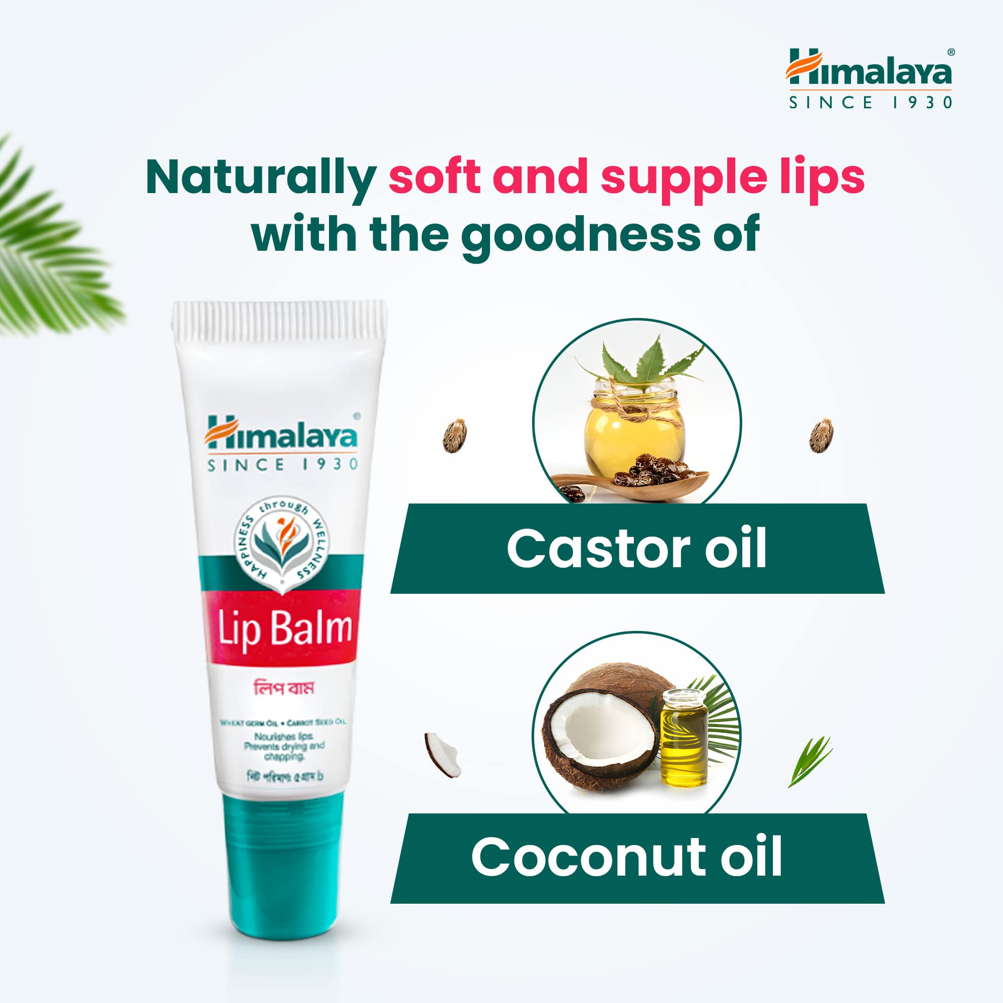 Himalaya Lip Balm-5g thumbnail 6
