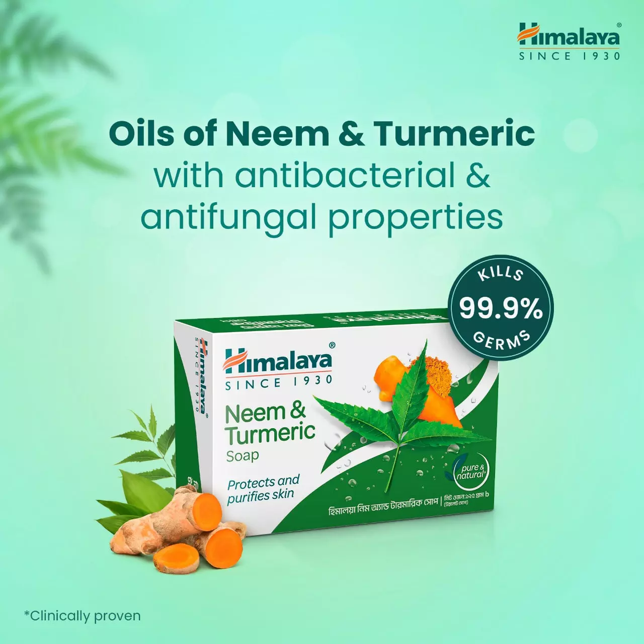 Himalaya Neem & Turmeric Soap-75g thumbnail 4