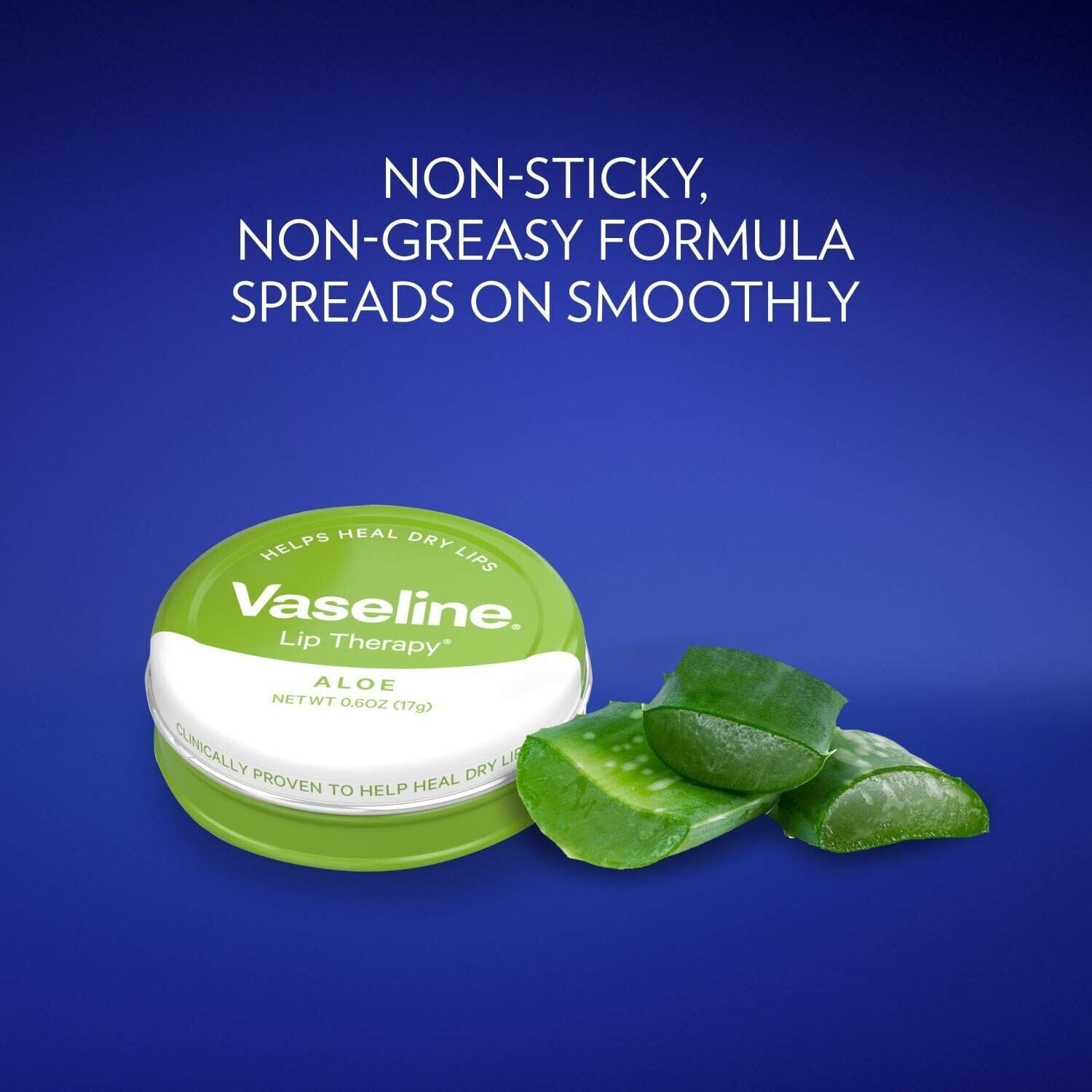 Vaseline Aloe Vera Lip Therapy-20g