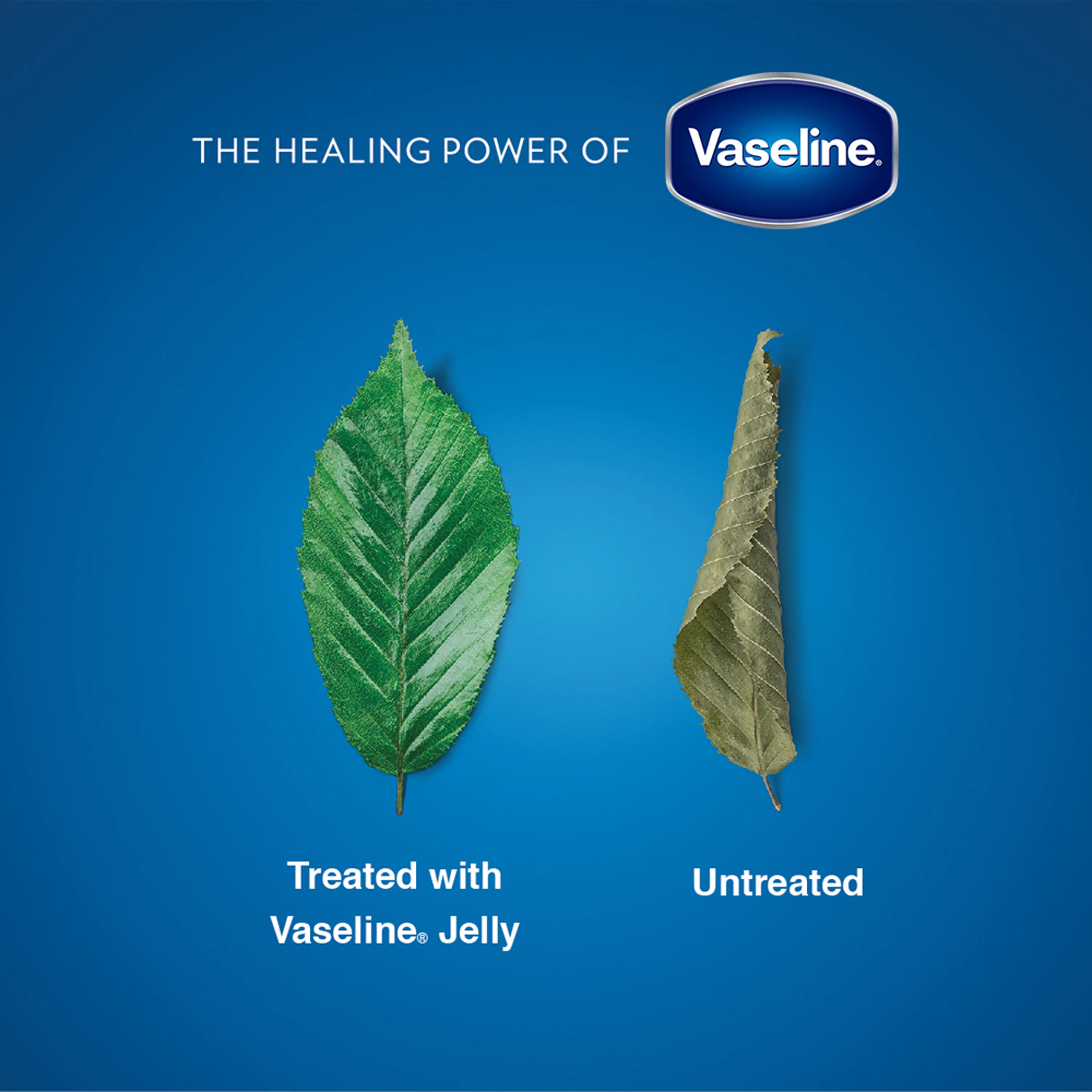 Vaseline Petroleum Jelly-9ml thumbnail 9