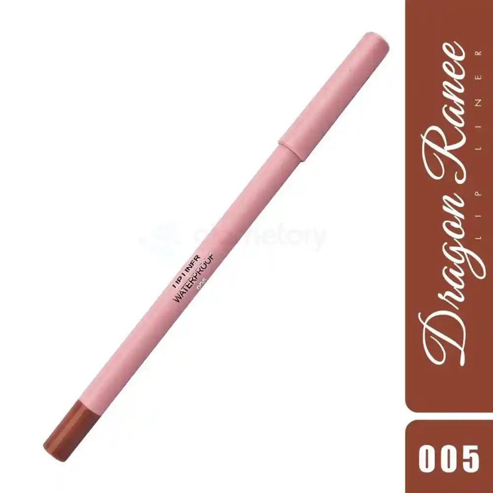 Dragon Ranee Waterproof Lip Liner Shade 005