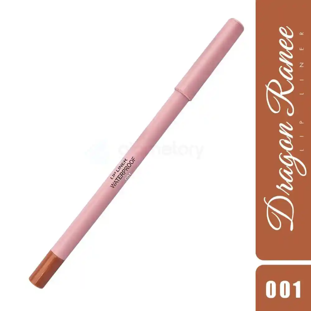 Dragon Ranee Waterproof Lip Liner Shade 001