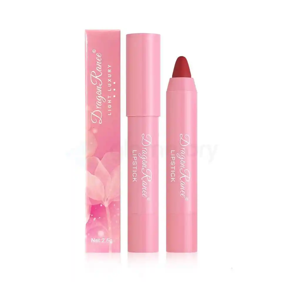 Dragon Ranee Luxury Light Matte Lipstick Shade 06