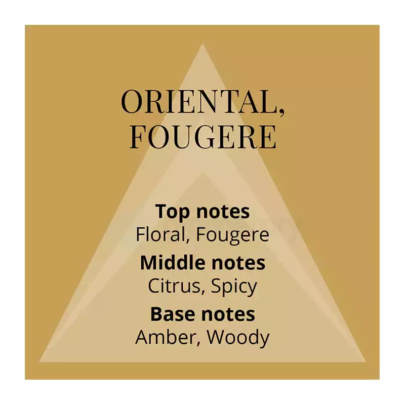 Colour Me Gold Men Perfume-50ml thumbnail 4