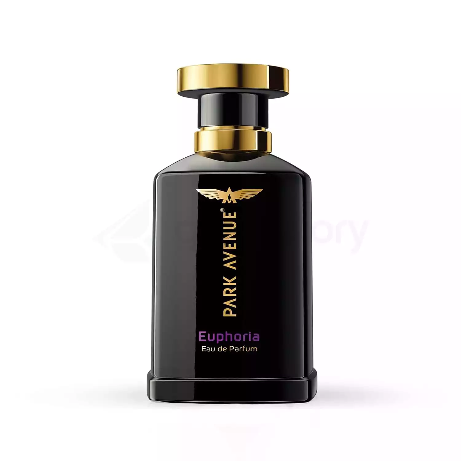 Park Avenue Euphoria Eau de Parfum for Men-100ml